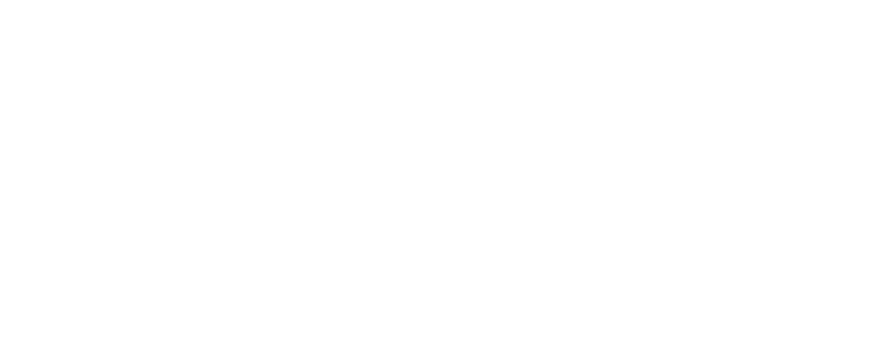 BWT logo