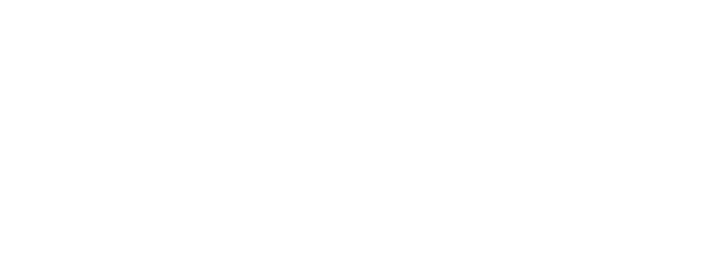 Blancus logo