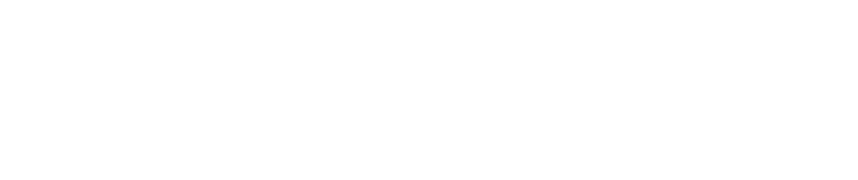 Bauscher logo