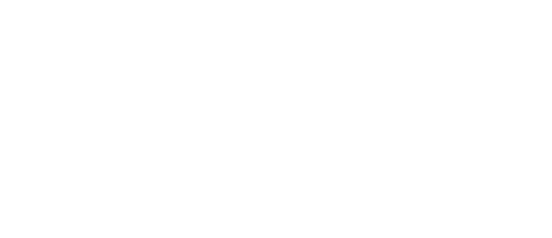 BWT logo