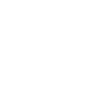 WMF logo