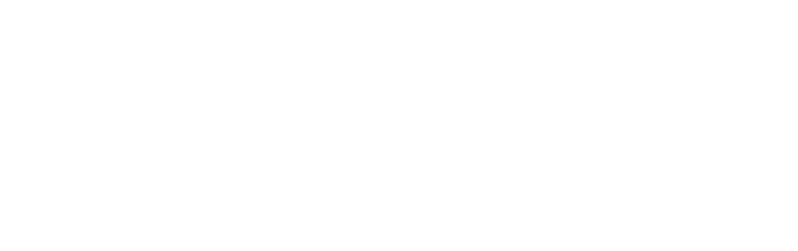 Fort logo